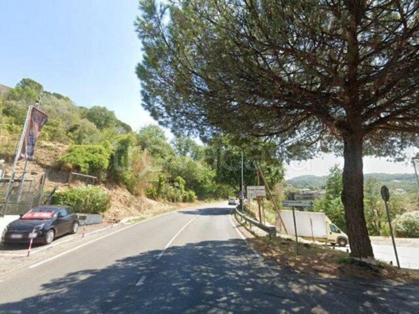 terreno agricolo in vendita a Monte Porzio Catone in zona Pilozzo