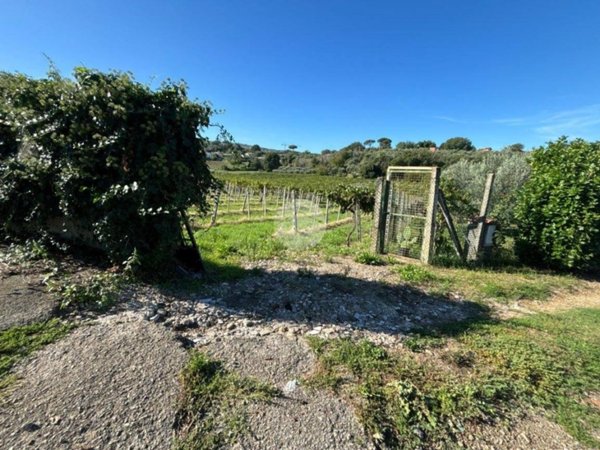 ufficio in vendita a Monte Porzio Catone in zona Massarosa