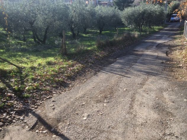 terreno agricolo in vendita a Monte Porzio Catone