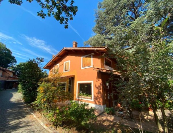 immagine annuncio 0 di 15