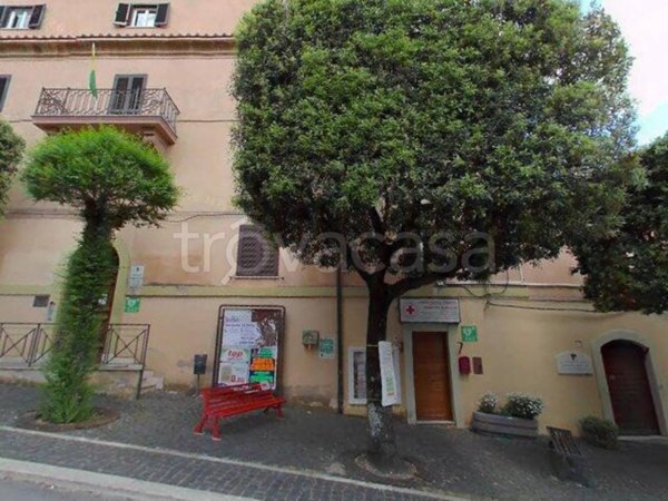 terreno agricolo in vendita a Monte Porzio Catone