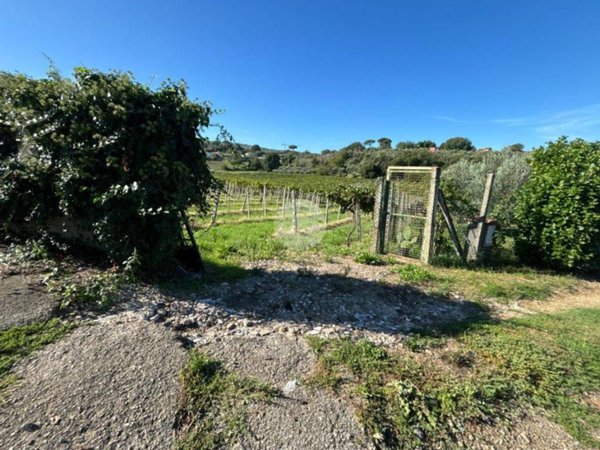 terreno agricolo in vendita a Monte Porzio Catone in zona Massarosa