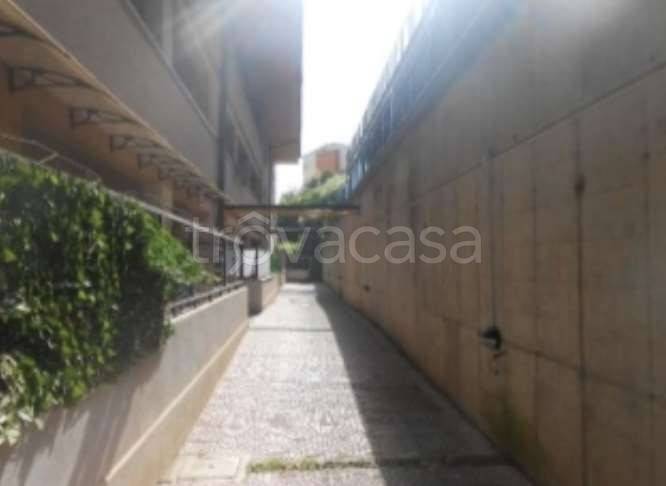 appartamento in vendita a Monte Porzio Catone in zona Pilozzo