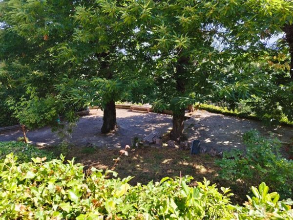 appartamento in vendita a Monte Porzio Catone in zona Pilozzo