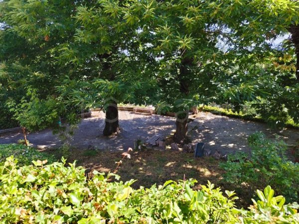 appartamento in vendita a Monte Porzio Catone