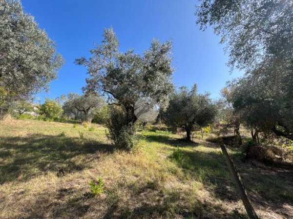 terreno edificabile in vendita a Monterotondo