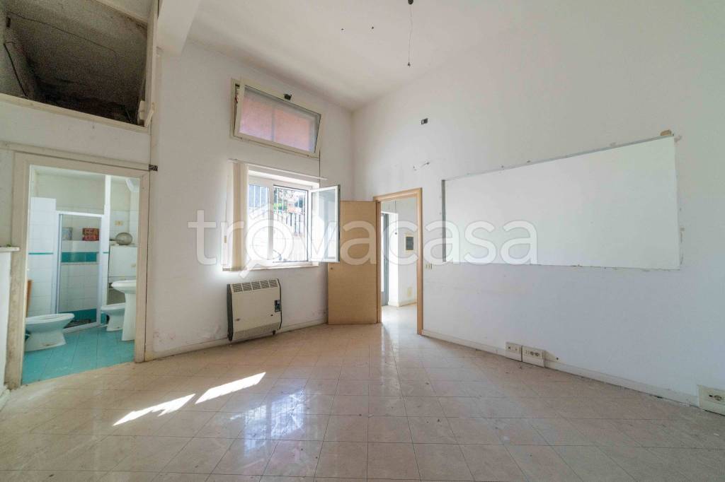 immagine annuncio 0 di 15