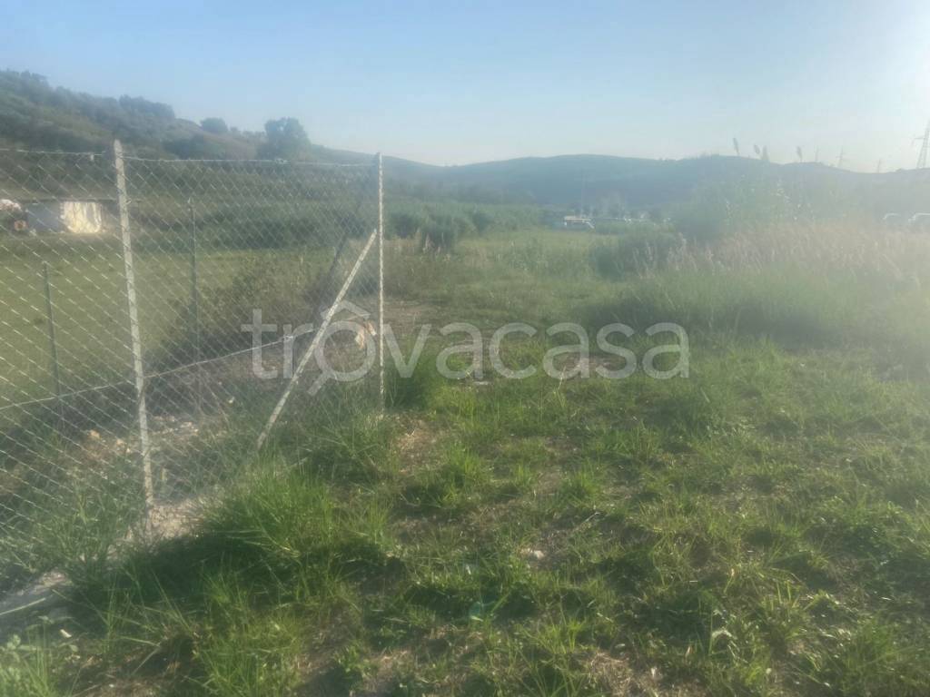 terreno agricolo in vendita a Monterotondo