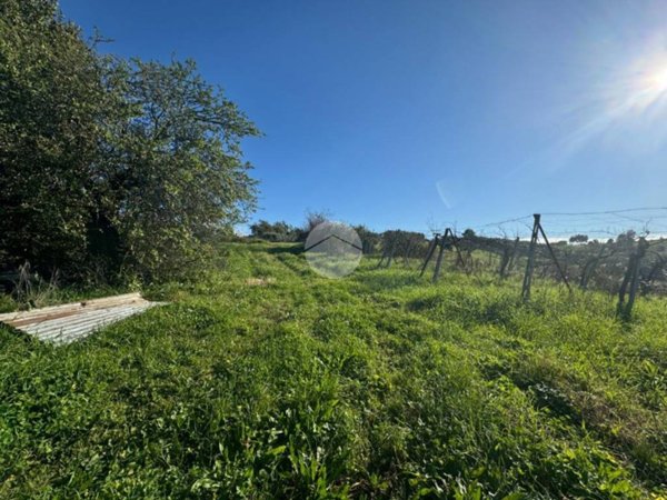 terreno agricolo in vendita a Monterotondo