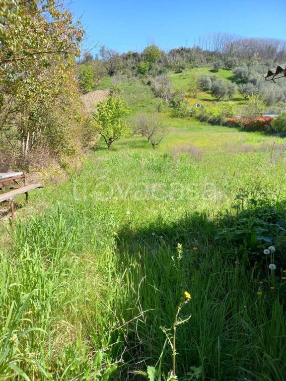 terreno agricolo in vendita a Monterotondo