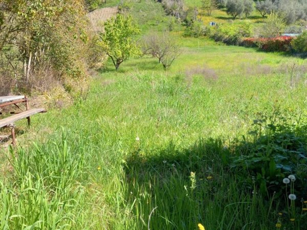 terreno agricolo in vendita a Monterotondo