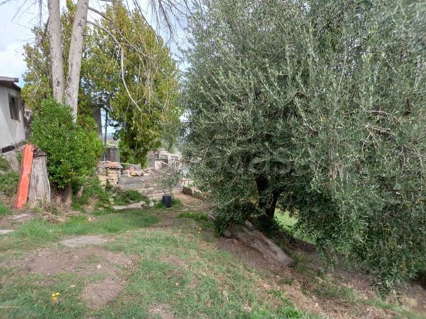 terreno agricolo in vendita a Monterotondo