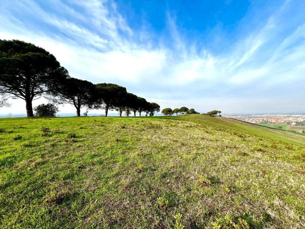 terreno agricolo in vendita a Monterotondo