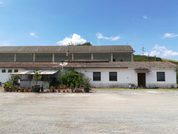 capannone in vendita a Monterotondo in zona Stazione