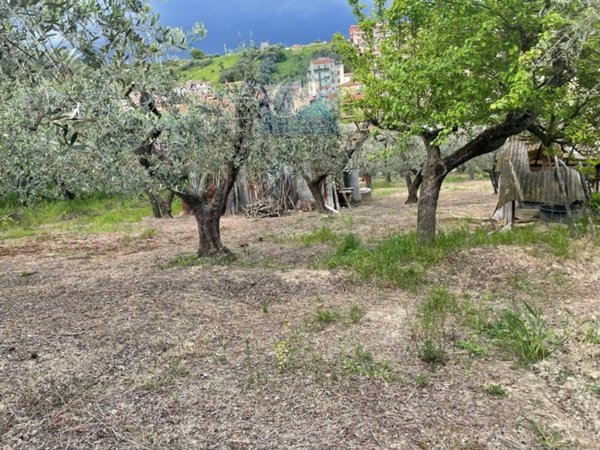 terreno agricolo in vendita a Monterotondo in zona Stazione