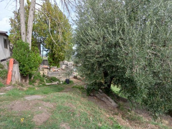 terreno agricolo in vendita a Monterotondo in zona San Martino