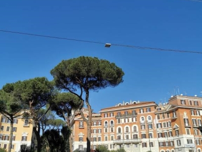 negozio in vendita a Monterotondo