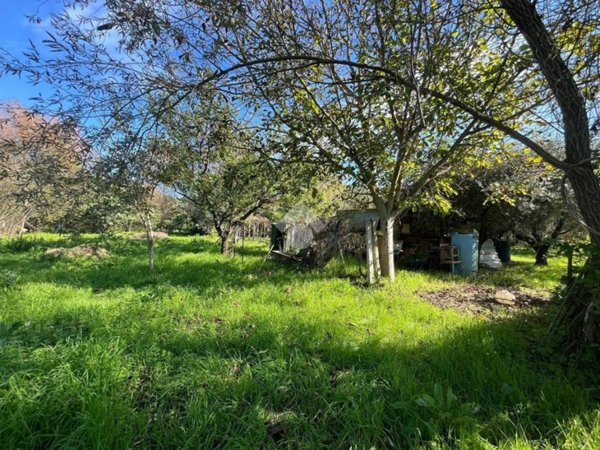 terreno agricolo in vendita a Monterotondo in zona Stazione