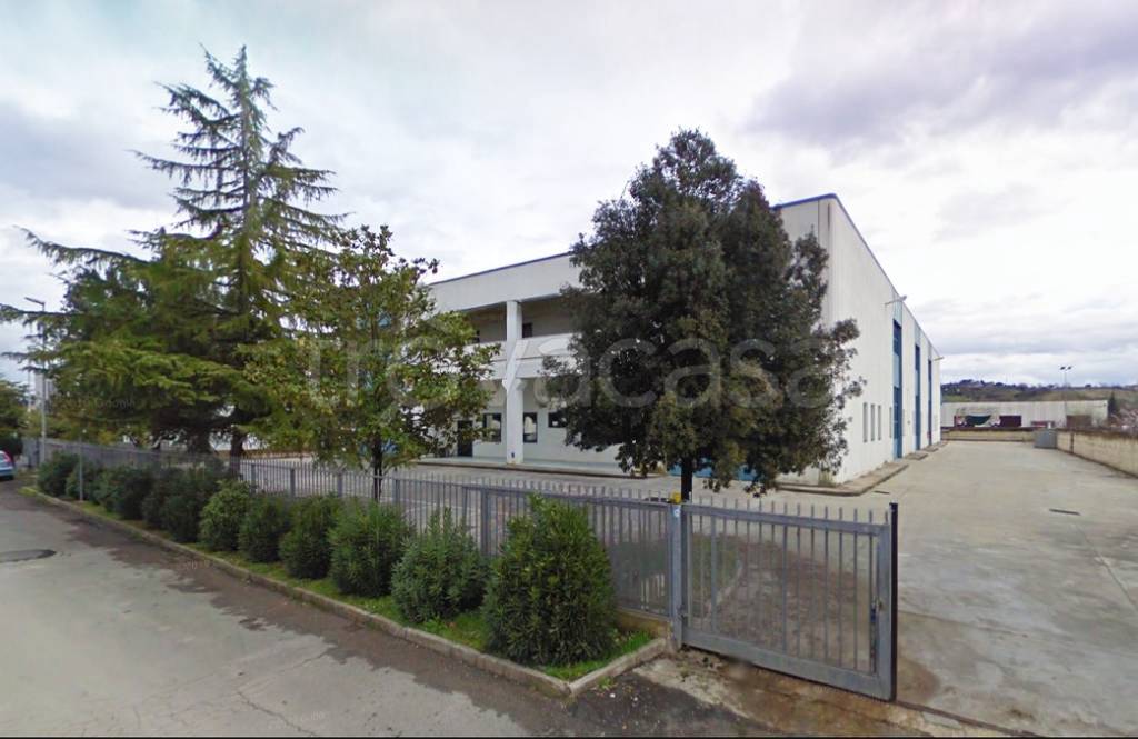 immagine annuncio 0 di 13