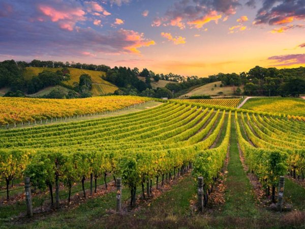 terreno agricolo in vendita a Monterotondo