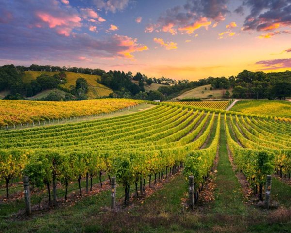terreno agricolo in vendita a Monterotondo