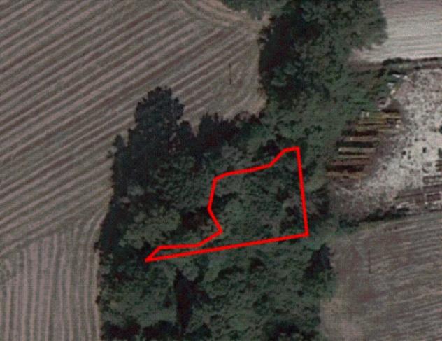 terreno agricolo in vendita a Monterotondo