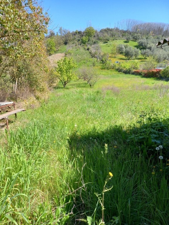 terreno agricolo in vendita a Monterotondo