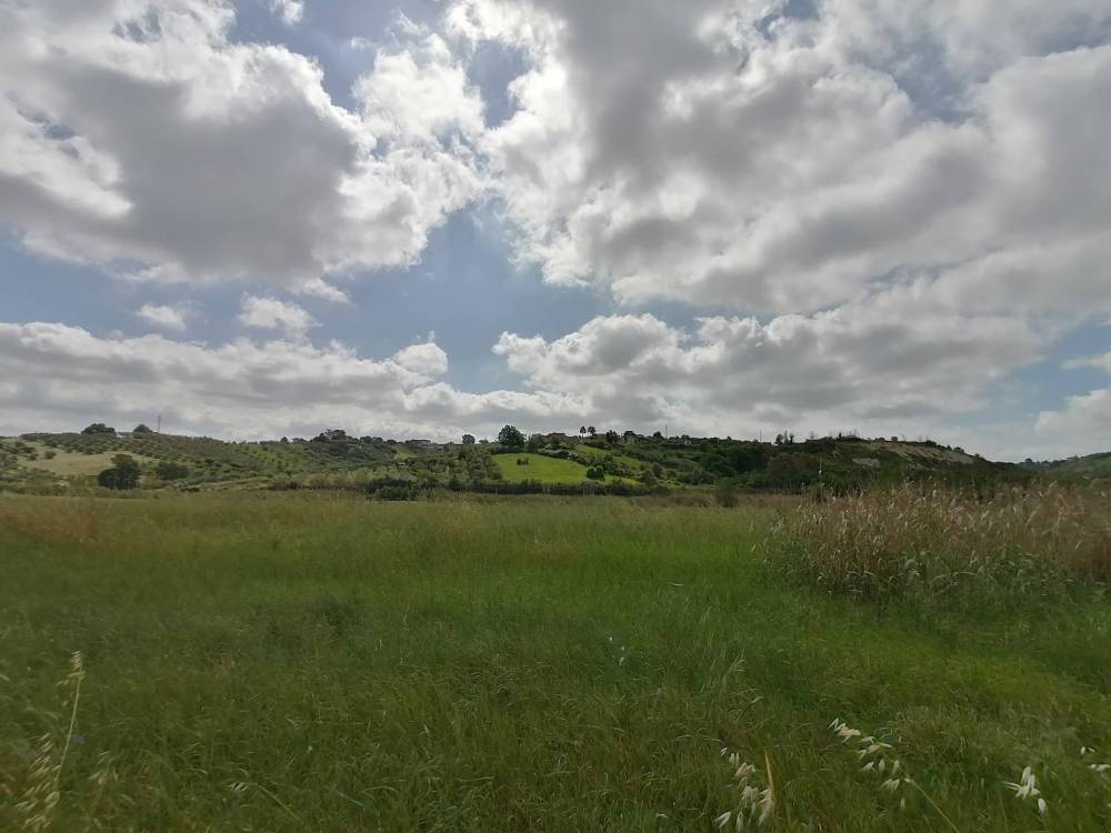terreno agricolo in vendita a Monterotondo