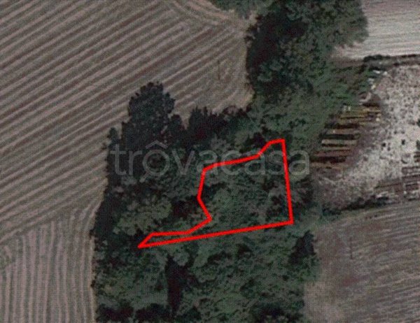 terreno agricolo in vendita a Monterotondo
