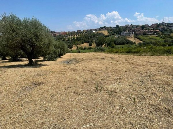 terreno agricolo in vendita a Monterotondo