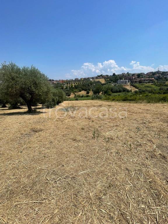 terreno agricolo in vendita a Monterotondo