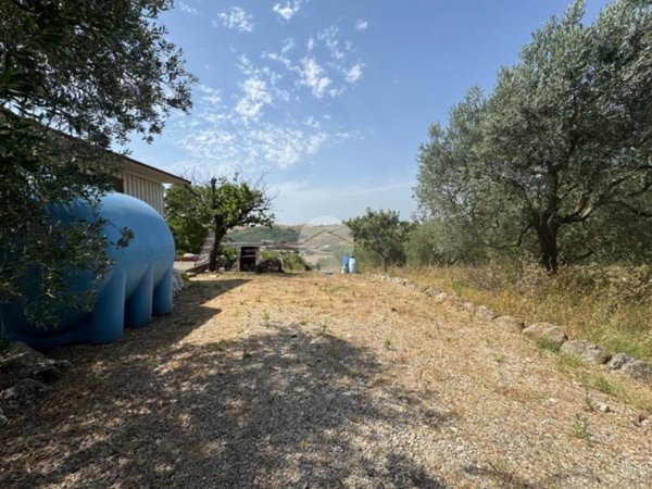 terreno agricolo in vendita a Monterotondo