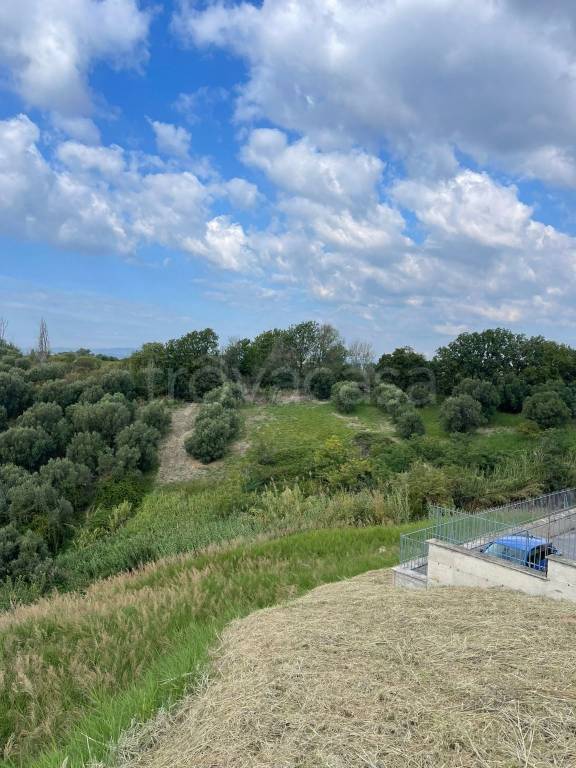 terreno agricolo in vendita a Monterotondo