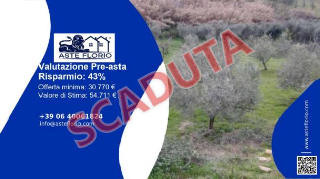 terreno agricolo in vendita a Monterotondo