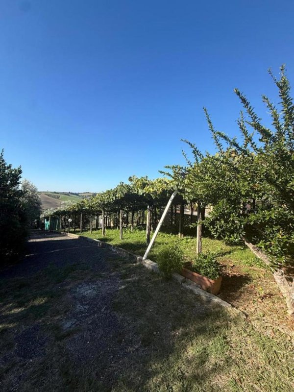 terreno agricolo in vendita a Monterotondo