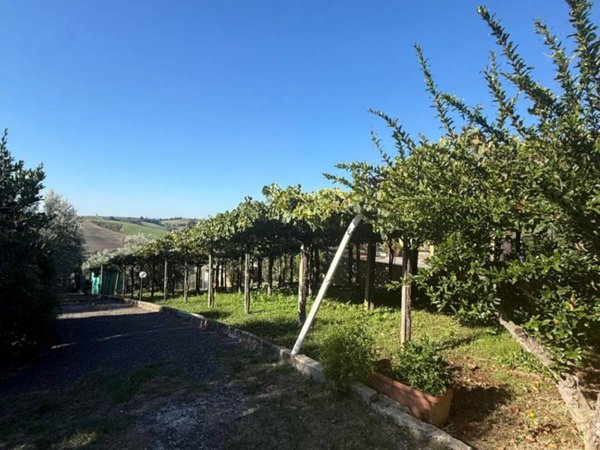 terreno agricolo in vendita a Monterotondo