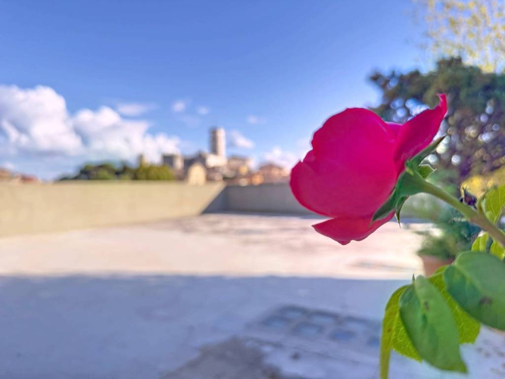 appartamento in vendita a Monterotondo in zona San Martino