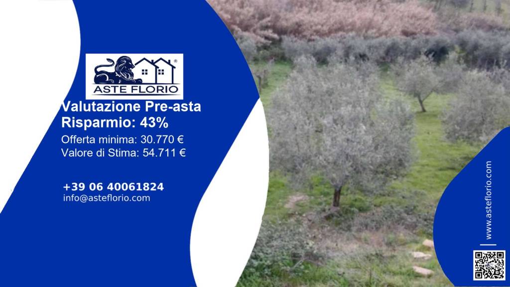 terreno agricolo in vendita a Monterotondo