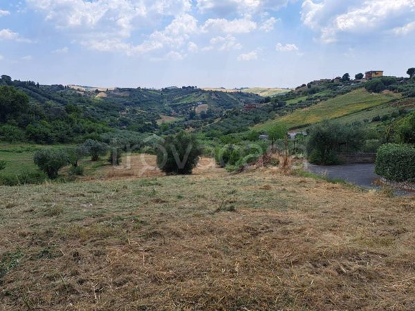 terreno agricolo in vendita a Monterotondo