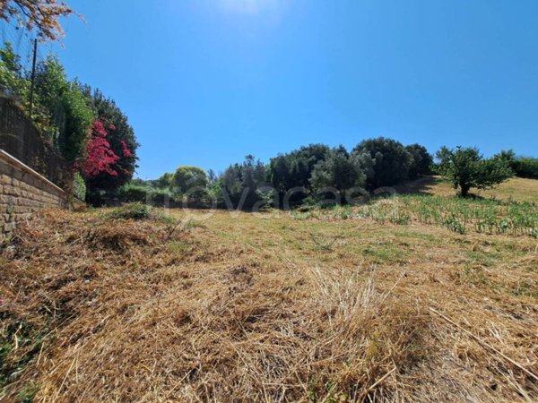 terreno agricolo in vendita a Monterotondo