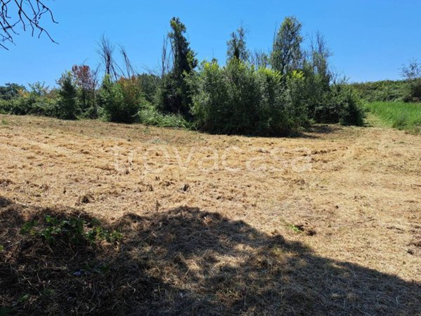 terreno agricolo in vendita a Monterotondo