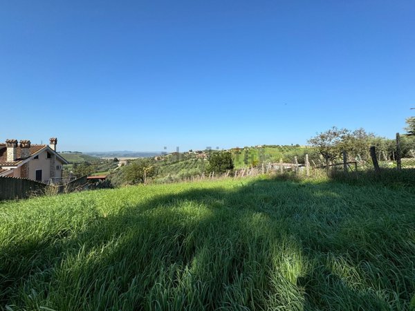 terreno agricolo in vendita a Monterotondo