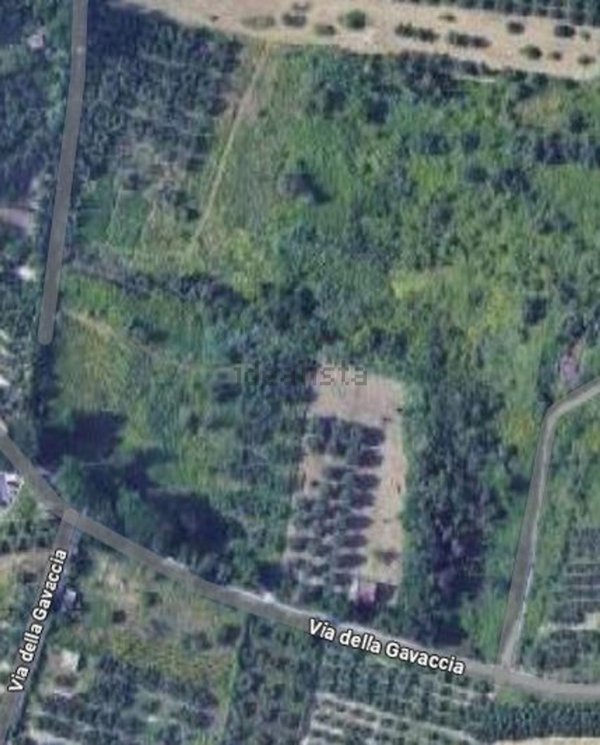 terreno agricolo in vendita a Monterotondo