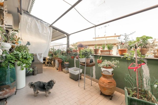 appartamento in vendita a Monterotondo