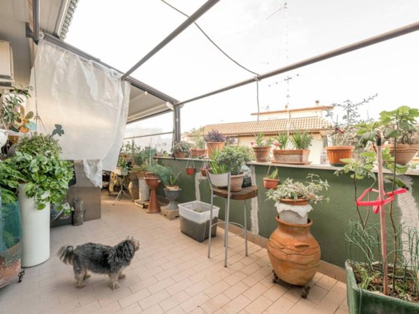 appartamento in vendita a Monterotondo