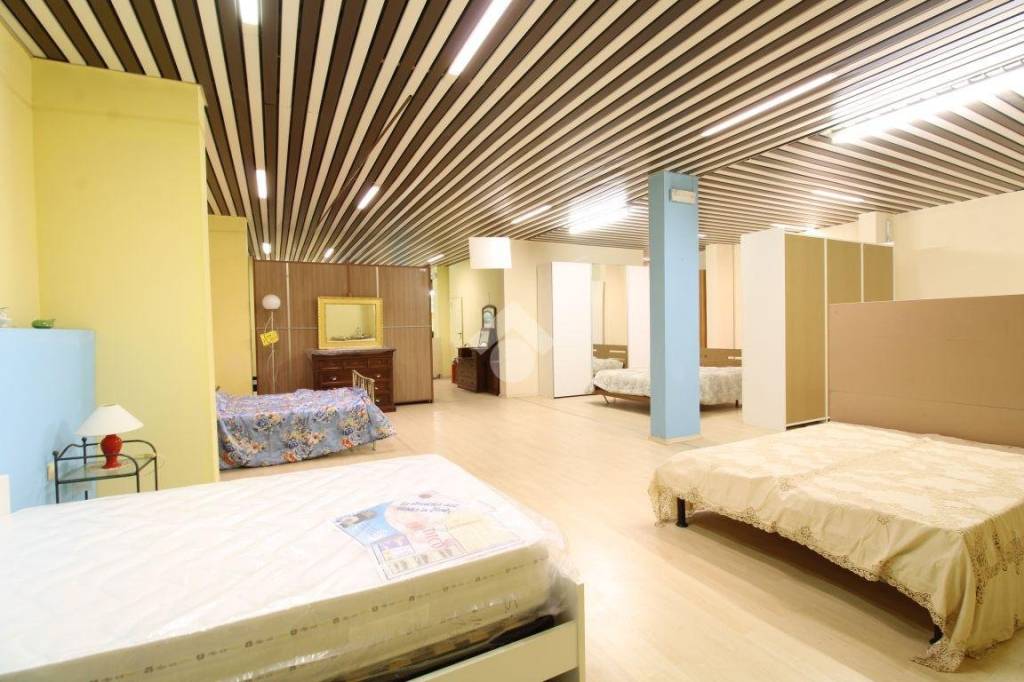 immagine annuncio 0 di 15