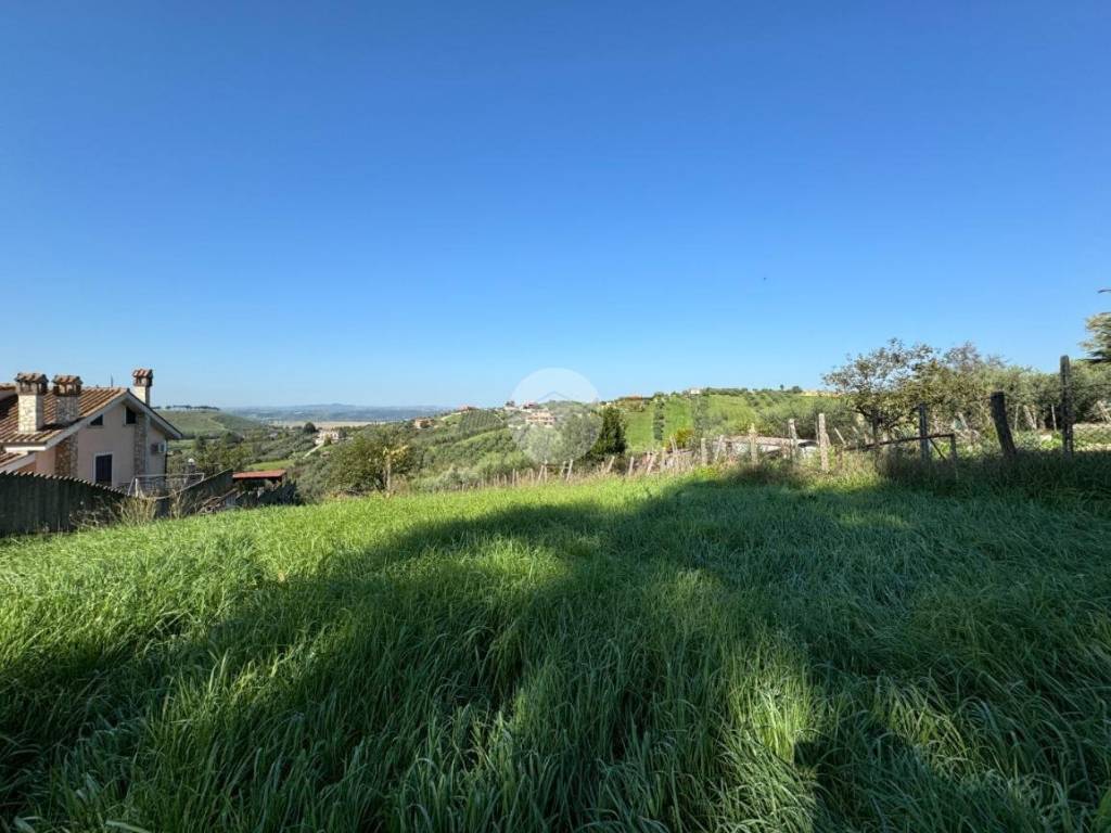 terreno agricolo in vendita a Monterotondo