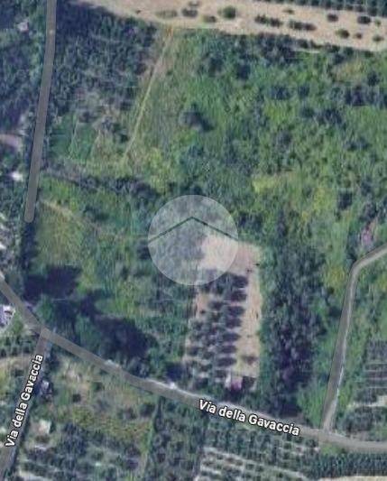 terreno agricolo in vendita a Monterotondo
