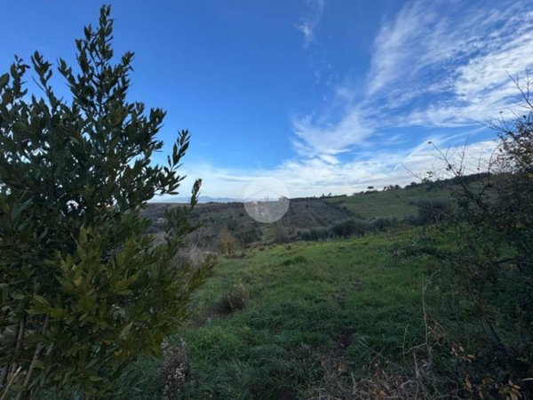 terreno agricolo in vendita a Monterotondo