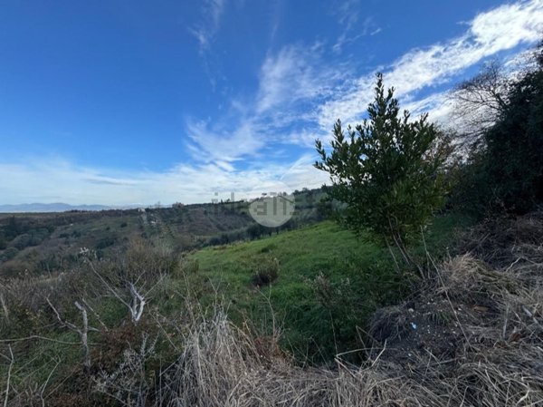 terreno agricolo in vendita a Monterotondo